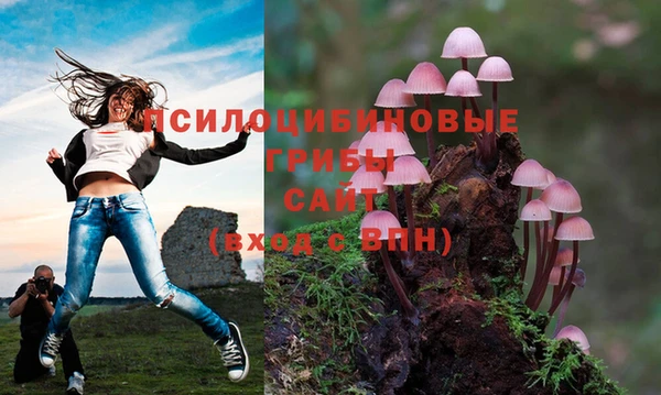 ешки Алзамай